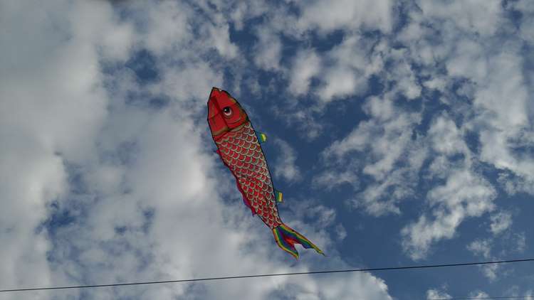 김송일-하늘 물고기.jpg